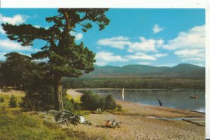 Scotland Postcard - Loch Morlich - Inverness-shire - Ref 15042A