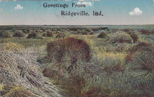 Indiana Ridgeville Greetings From Ridgeville 1917
