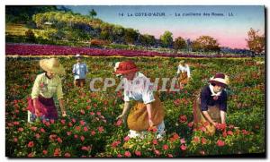 Old Postcard Cote d & # 39Azur picking roses