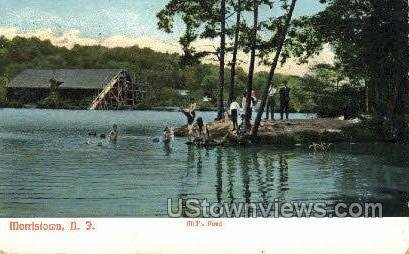 Mills Pond in Morristown, New Jersey