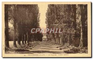 Postcard Old Coulsdon The Capuchins The central Allee