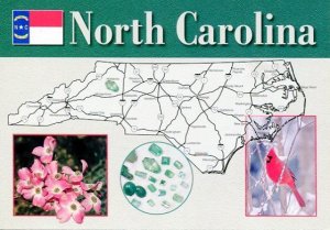 NORTH CAROLINA: FUN FACTS STATE MAP POSTCARD