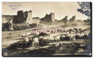 Old Postcard Constantinople The Walls of 7 laps Turkey Sheep