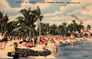Florida Miami Sun Seekers At Tropical Matheson Hammock 1948 Curteich