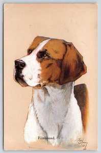 K Nixon Artist~Portrait of Fox Hound~CW Falkner~c1910 Postcard