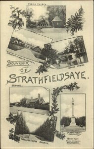 Strathfieldsaye - England Multi View c1910 Postcard