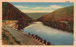 Vintage Postcard 1930's View of River Side Western North Carolina NC