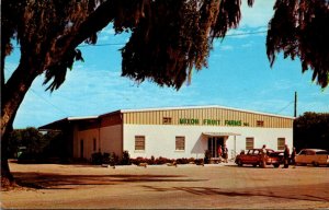 Florida Bradenton Mixon Fruit Farms Citrus Fruit