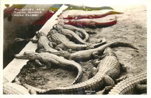 1930s Florida Alligators Seminole Indian Village RPPC Postcard 25-5885
