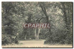 Postcard Old Foret Saint Germain L'Etoile du Mail