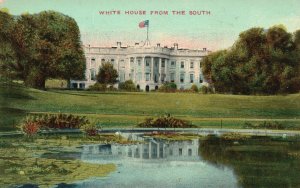 Vintage Postcard 1900's White House President's Ground Lily Pond Washington DC