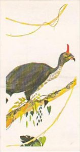 Brooke Bond Vintage Trade Card Vanishing Wildlife 1978 No 30 Horned Guan