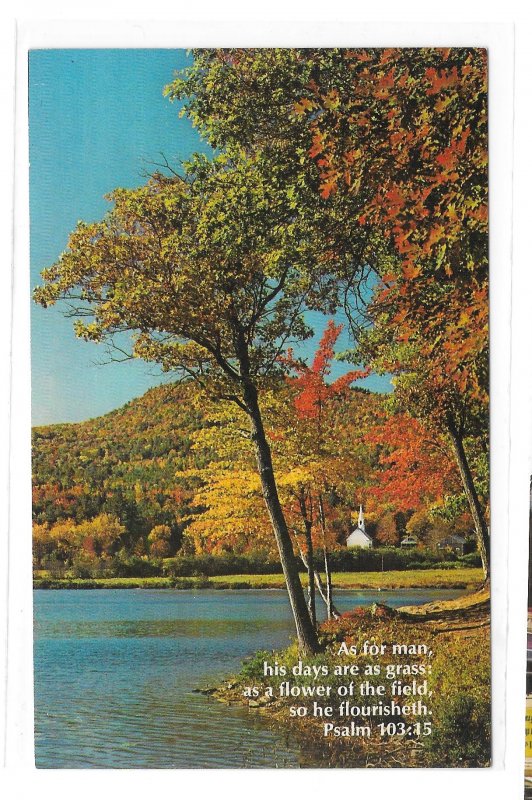 Religion Bible Verse Psalm 103 Crystal Lake NH Eaton Center Christian Postcard