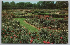 Columbus Ohio~Park of Roses Largest Rose Garden In World~Vintage Postcard 