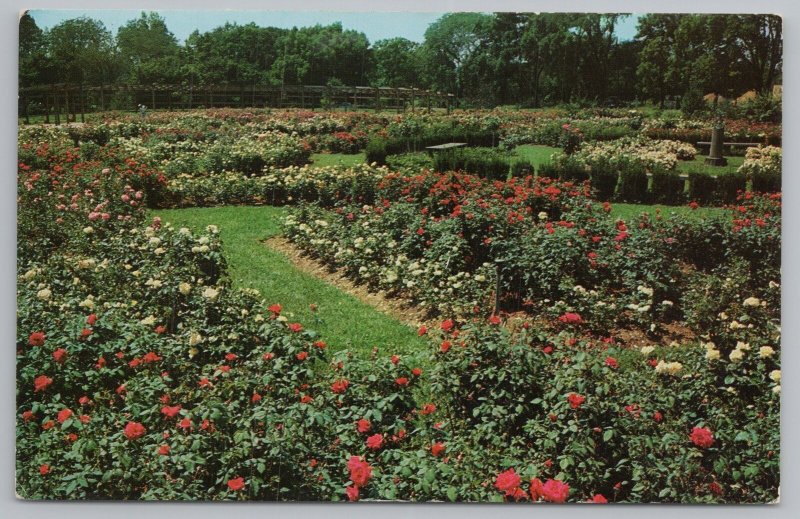 Columbus Ohio~Park of Roses Largest Rose Garden In World~Vintage Postcard 