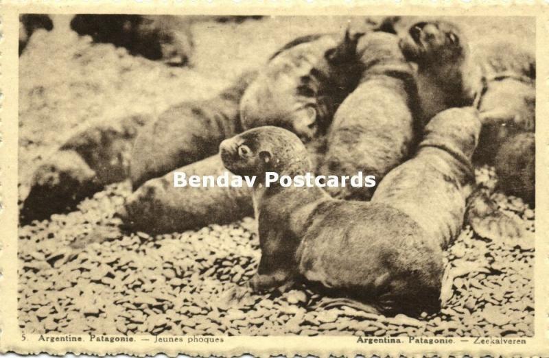 argentina, PATAGONIA, Young Sea Cows (1930s) Belgian Chocolate Ed