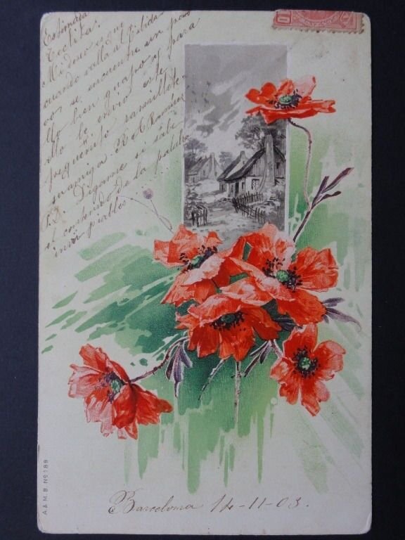 Poppy Postcard: POPPIES c1903 UB by A. & M.B. No.189 - Inc Donation to R.B.L.