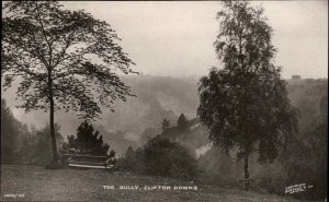 Vintage RPPC Clifton Down BRISTOL The Gully Burgess & Co Real Photo PC