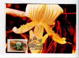 422221 ROMANIA 1990 year flowers orchid maximum card