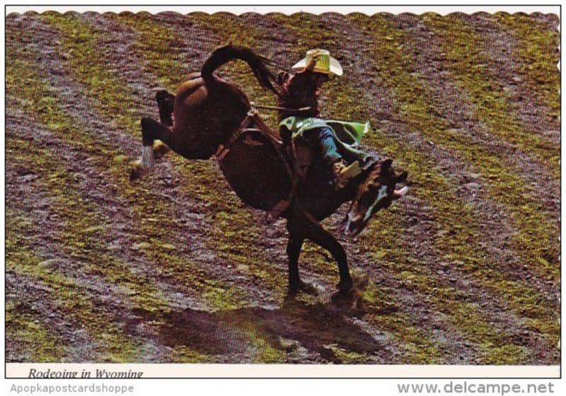 Wyoming Casper Rodeoing In Wyoming