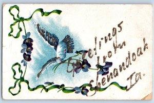 Shenandoah Iowa Postcard Greetings Bird Flowers And Leaves Scene 1913 Antique