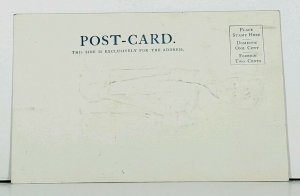 HH Tammen INDIAN BOY  c1905 Postcard E15