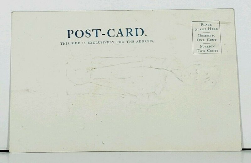 HH Tammen INDIAN BOY  c1905 Postcard E15