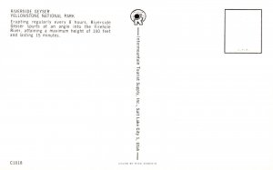 Riverside Geyser,Yellwostone National Park