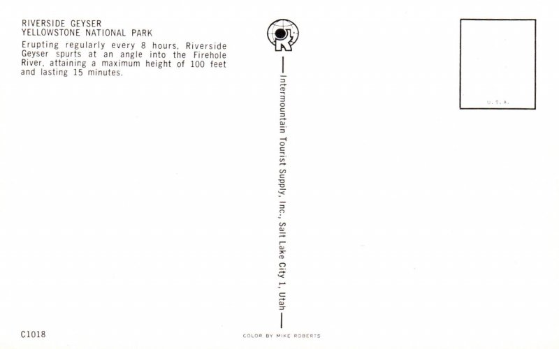 Riverside Geyser,Yellwostone National Park