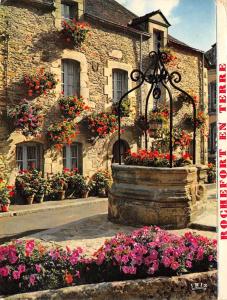 BR43241 le puits fleuri Rochefort en terre    France