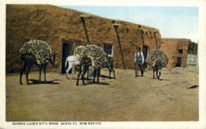 Burros Laden with Wood in Santa Fe, New Mexico