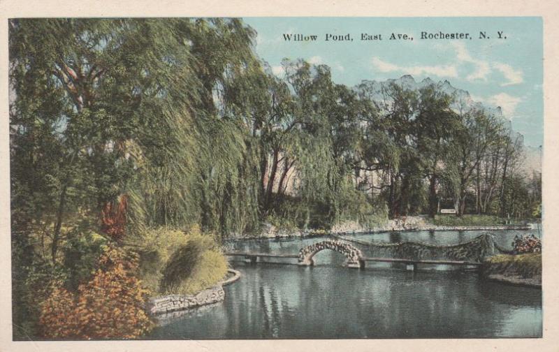 Willow Pond on East Avenue - Rochester, New York - WB