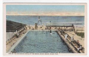 Swimming Pool Miami Beach Florida 1920c postcard