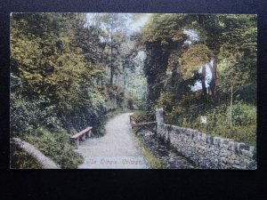 Wales COLWYN BAY The Dingle - Old Postcard