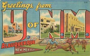 Albuquerque New Mexico 1940s Postcard University of New Mexico Teich 500