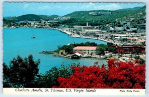 Charlotte Amalie Harbor St. Thomas US VIRGIN ISLANDS 4x6 Emily Plantz Postcard