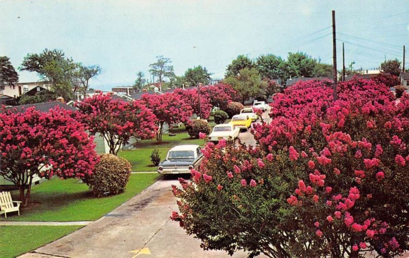 Buckroe Beach Virginia birds eye view Gordon's Cottage Court vintage pc ZC549219