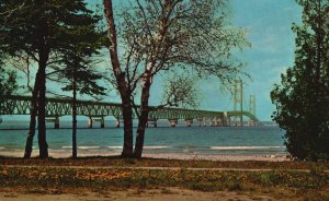 Vintage Postcard Longest Suspension Mackinac Bridge Anchorage Michigan MI