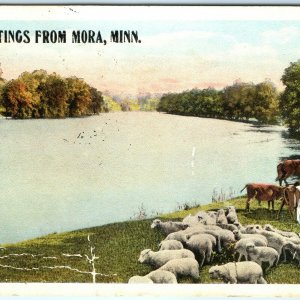 c1910s Mora, Minn. Greetings Postcard Pasture Sheep Cow Lake CT American Art A25