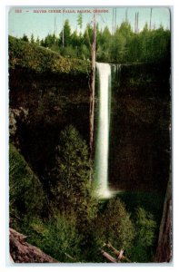 SALEM Area, OR  ~ SILVER CREEK FALLS 1909 Mitchell #505 Marion County Postcard