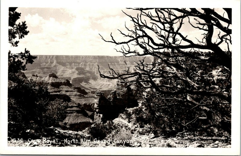Vtg Cape Royal North Rim Grand Canyon National Park Arizona AZ RPPC Postcard