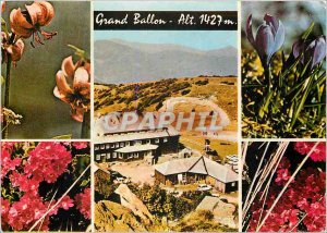 Modern Postcard Grand Ballon (altitude 1427 m) Near streams