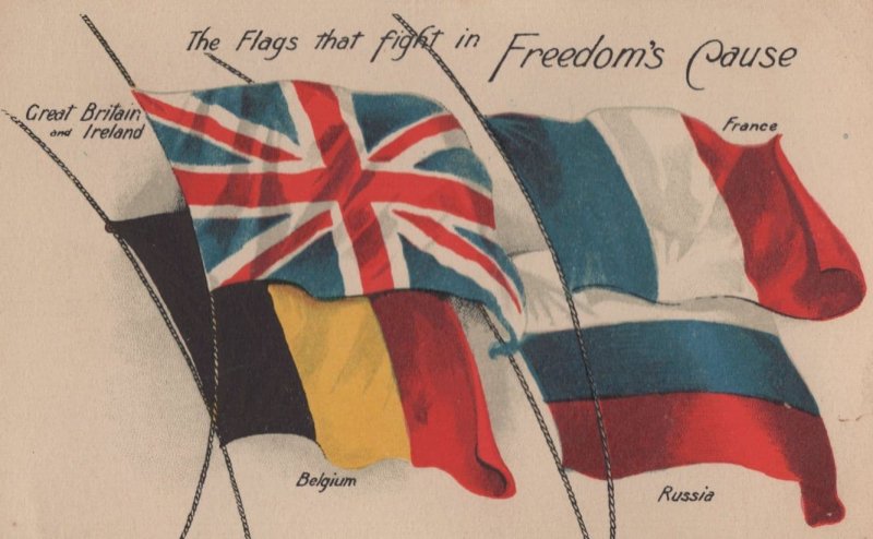 The Flags The Fight In Freedoms Cause Military WW1 Postcard