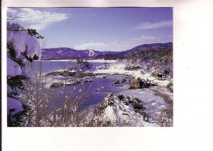 Winter Scene, Snow, Ingonish, Cabot Trail, Cape Breton, Nova Scotia