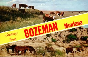 Montana Greetings From Bozeman