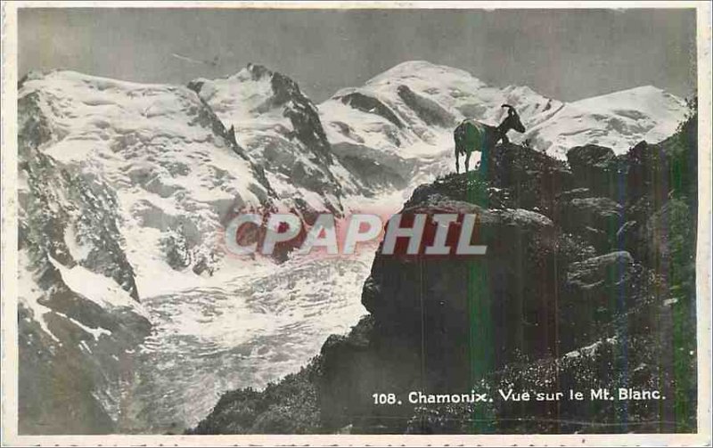 Chamonix Modern Postcard View of the Mont Blanc Chevre