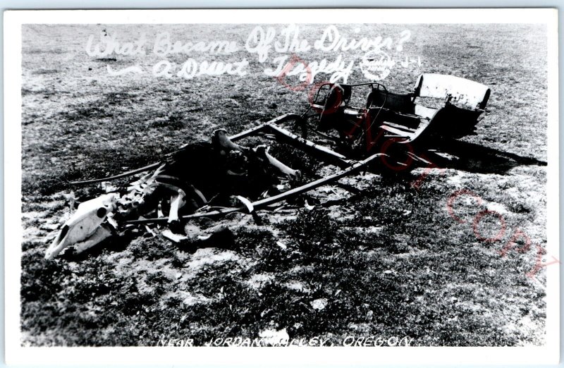 c1930s Jordan Valley, OR RPPC Dead Horse Carriage Weird Real Photo Postcard A101