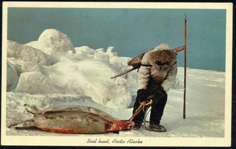 Arctic Alaska, Bloody Seal Hunt, Eskimo (1967) Red Cancel