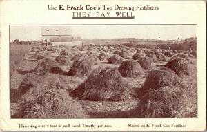 Advertising E. Frank Coe's Top Dressing Fertilizers c1917 Vintage Postcard Q01