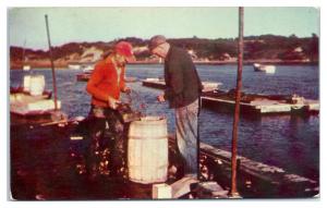 1960s Packing Oysters, Gould's Oyster Shack, West Chatham, Cape Cod, MA Postcard